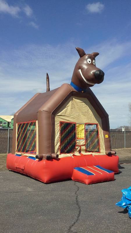 lot 11 image: 13x13 Brown Dog Jumper