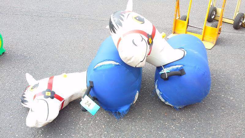 lot 24 image: Pair of Pony Hops - MEDIUM