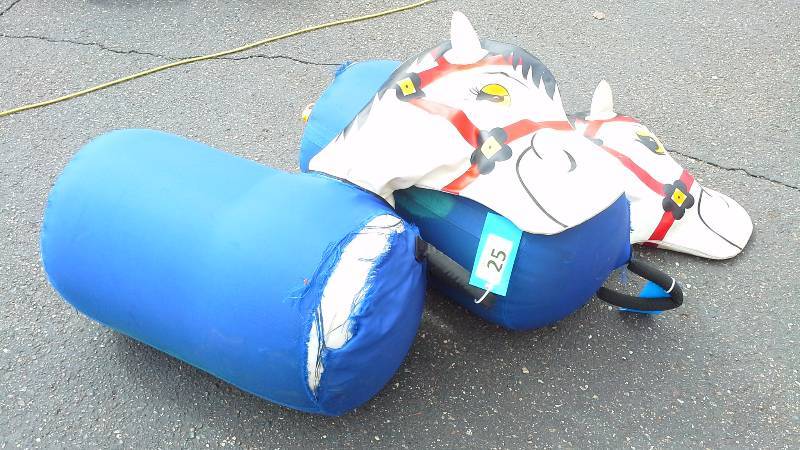 lot 25 image: Pair of Pony Hops - MEDIUM