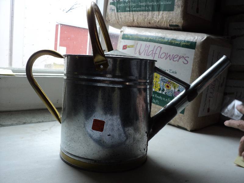 metal sprinking can...