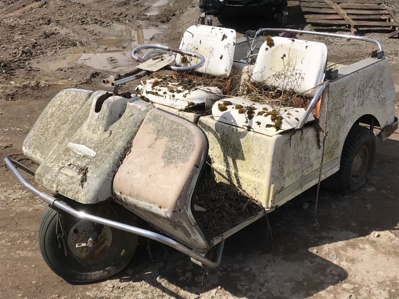 Vintage Harley Davidson Golf Cart