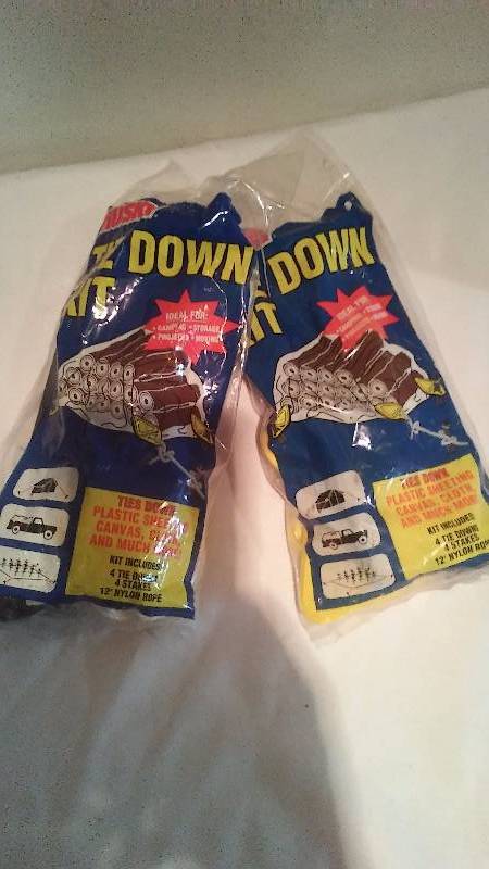 Husky Tie Down Kits (2) by Husky includes 12 ft. Nylon Rope and 4 Stakes