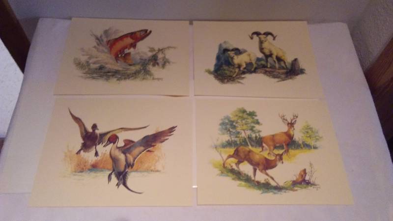 Wildlife Prints (4) By Fred Sweeney