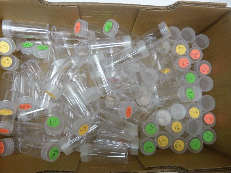 lot 199 image: Coin Tubes