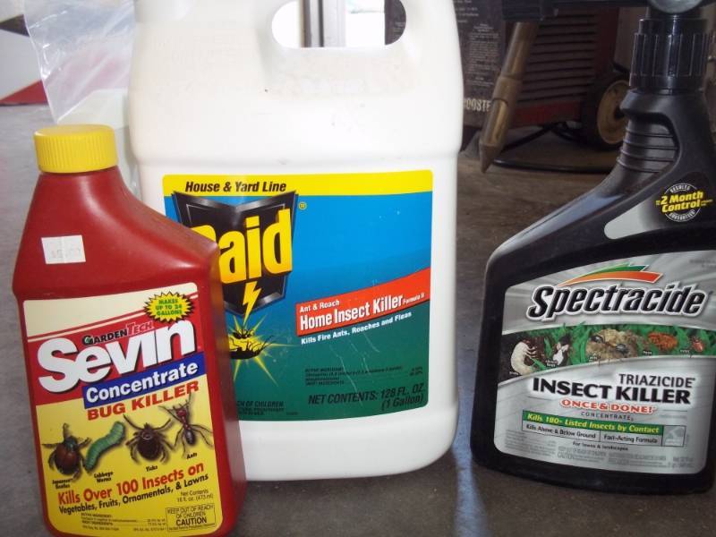 Kills Insects on plants and vegetables
