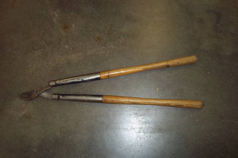 Large Laupers