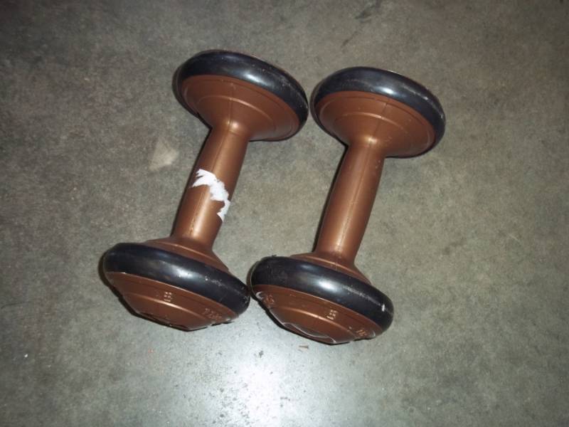 Pair of 5 lb dumbbells