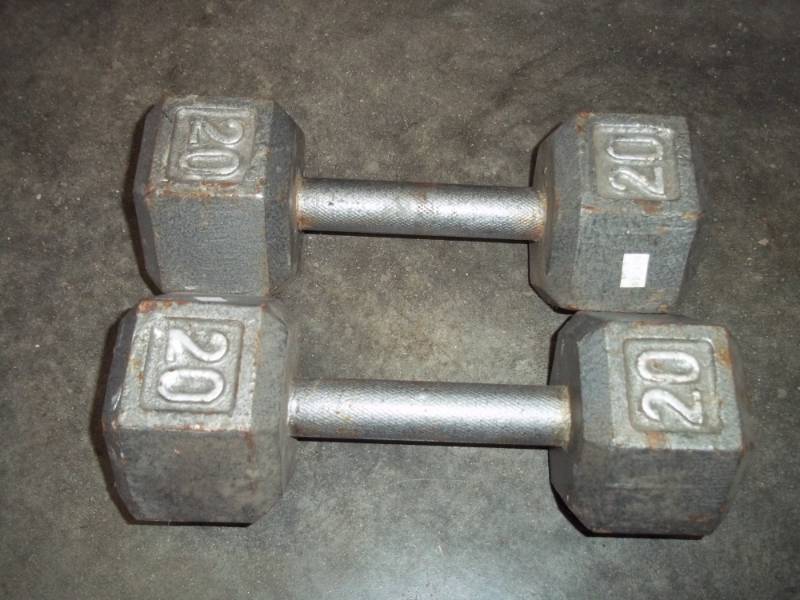 pair of 20 lb dumbbells