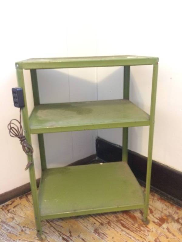 lot 24 image: Electric Cart