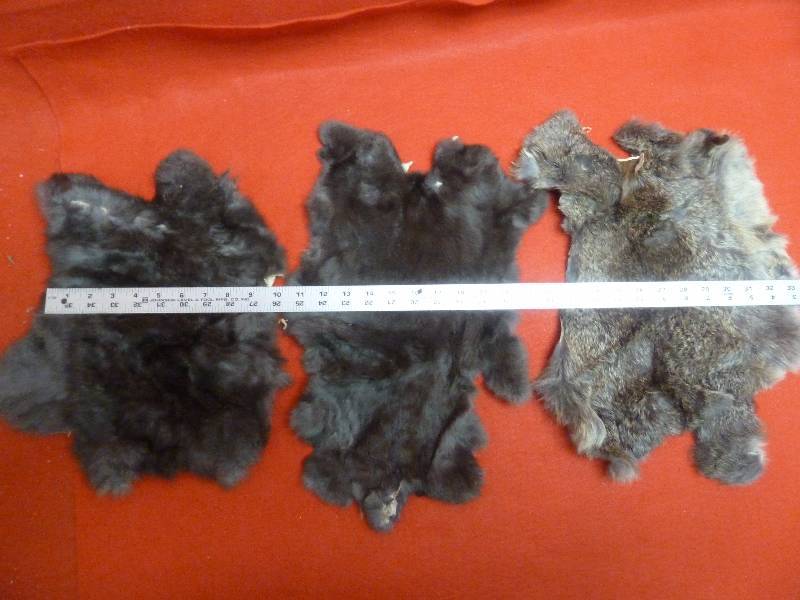 lot 439 image: Pelt Lot