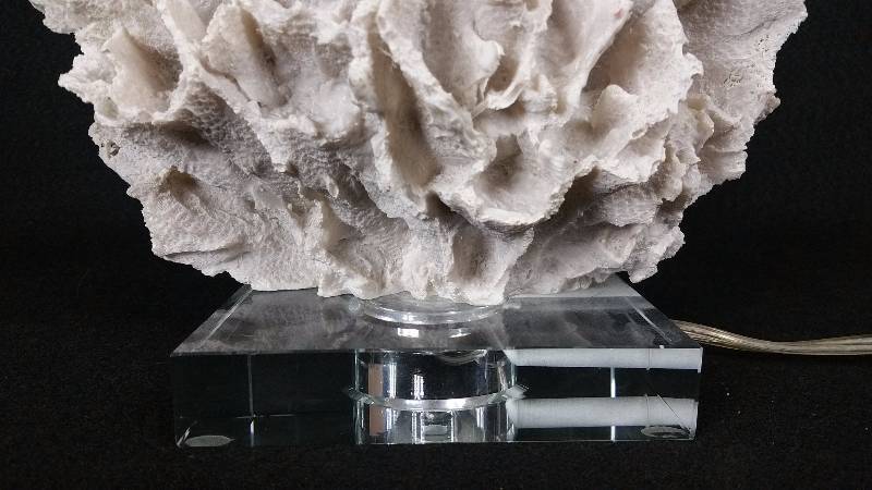 lot 5A image: Neiman Marcus  Coral Table Lamp