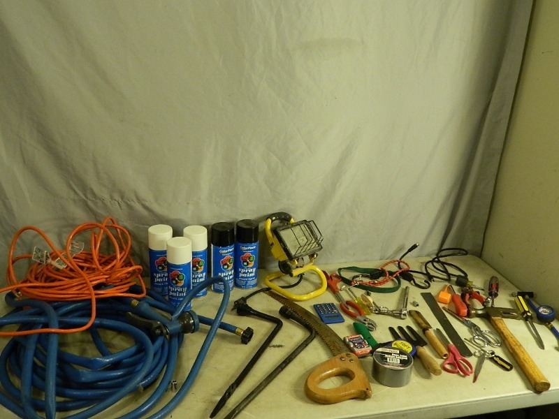 lot 70 image: Hose with Sprayer, Tools, and More