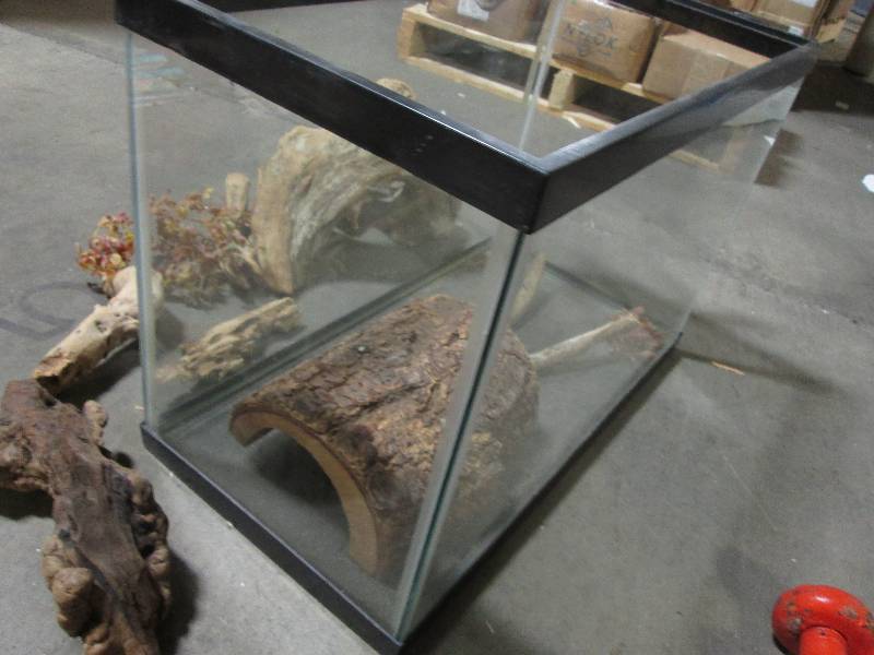 Aquarium and Extras