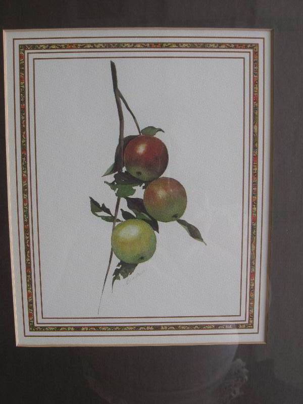 lot 29 image: (4) Windsor Art, Framed Fruit Prints