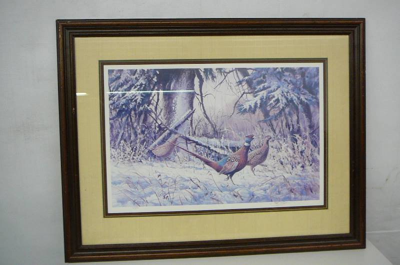 Framed Print