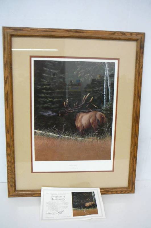 Framed Print