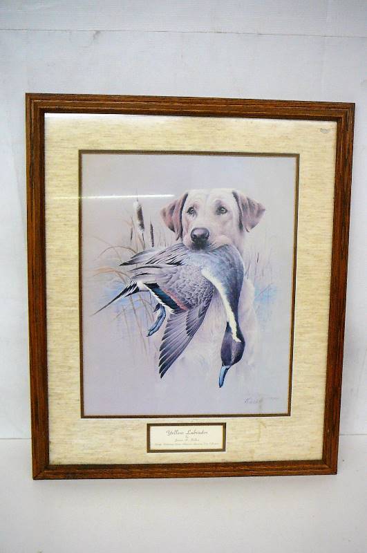 Framed Print