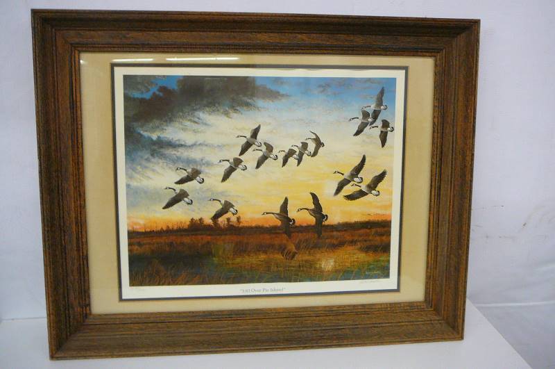 Framed Print