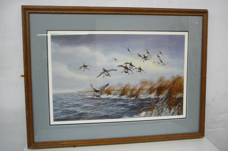 Framed Print