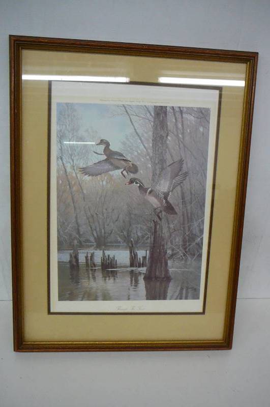 Framed Print