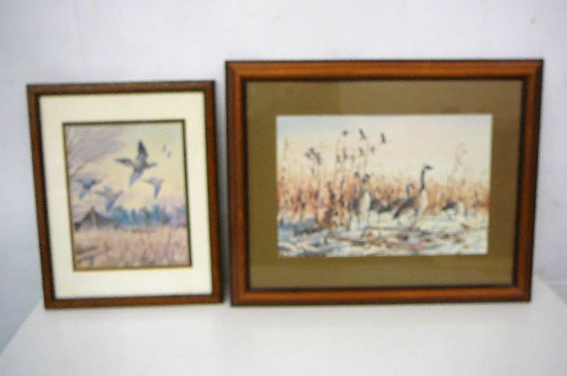 Framed Print