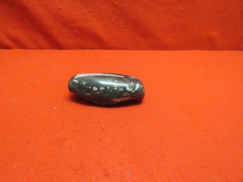 lot 145 image: Decorative Fossil Rock