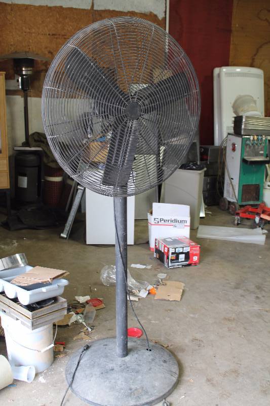 Fan