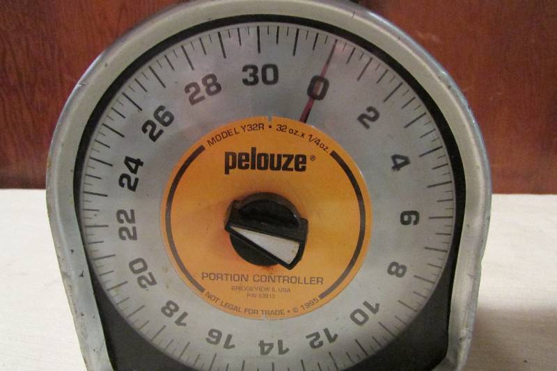 Commercial Food Scale