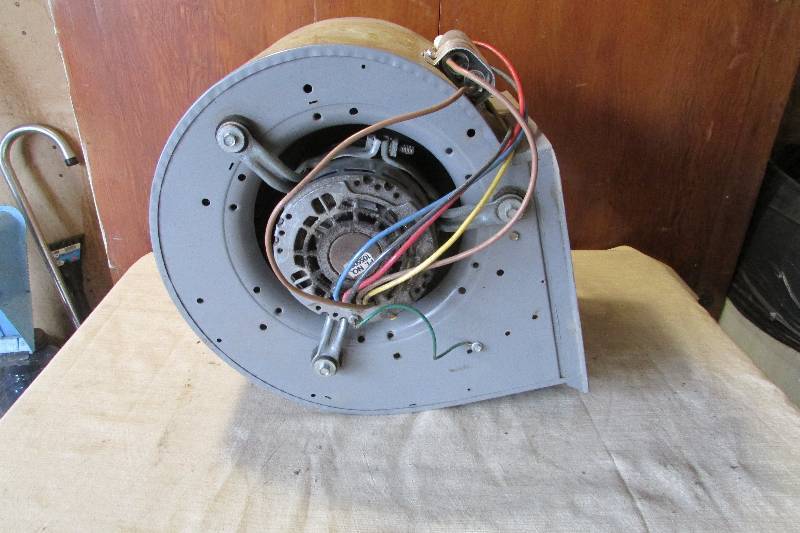 Blower Motor
