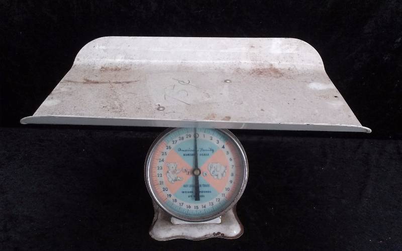 lot 9 image: American Family Nursery Scale - 30lbs Capacity