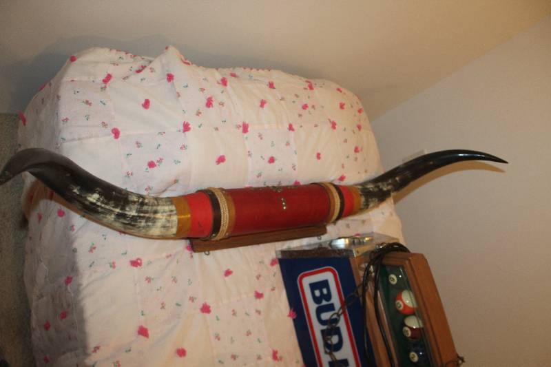 lot 19 image: 48in. Decorative Bull Horns