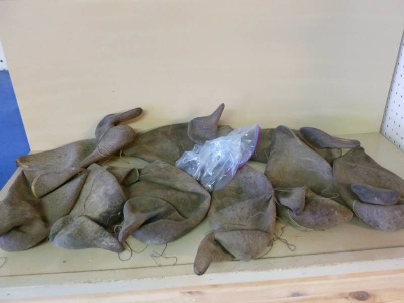 Vintage Duck Decoys