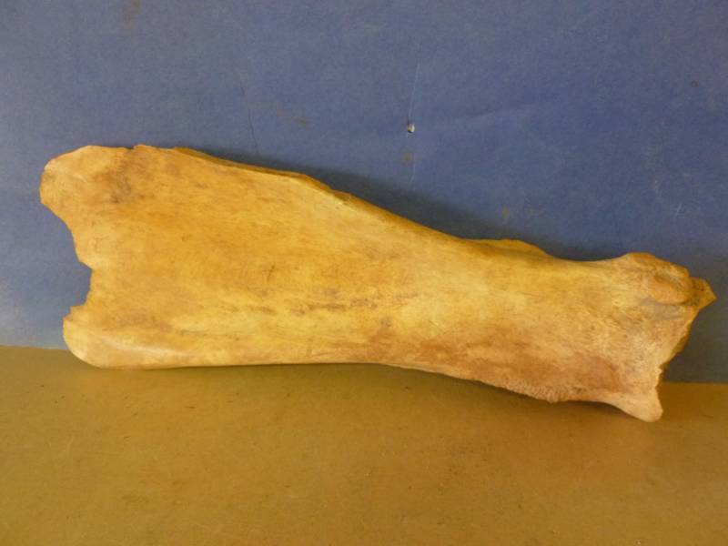 Native American Item