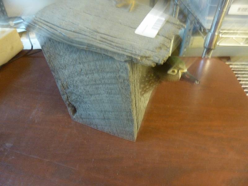 Collectible Decor