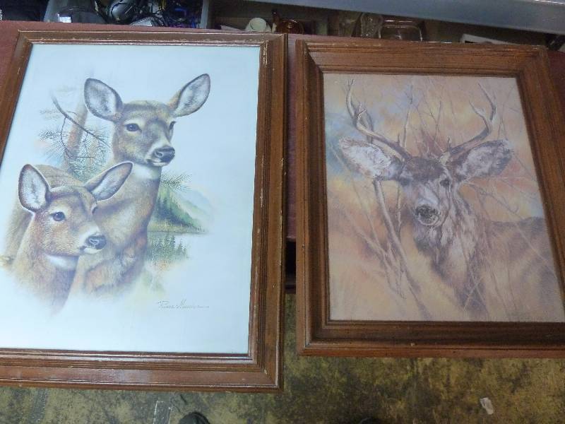 Wildlife Decor