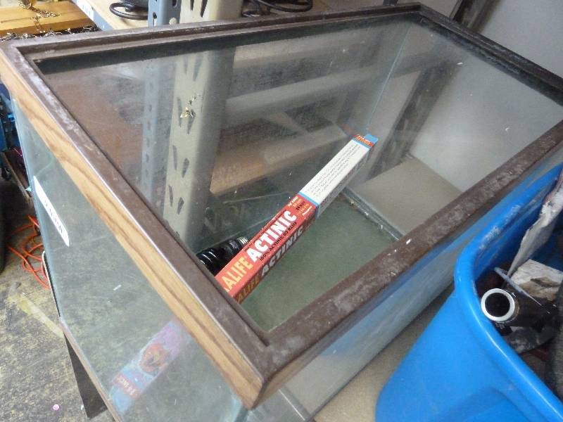 Glass Aquarium