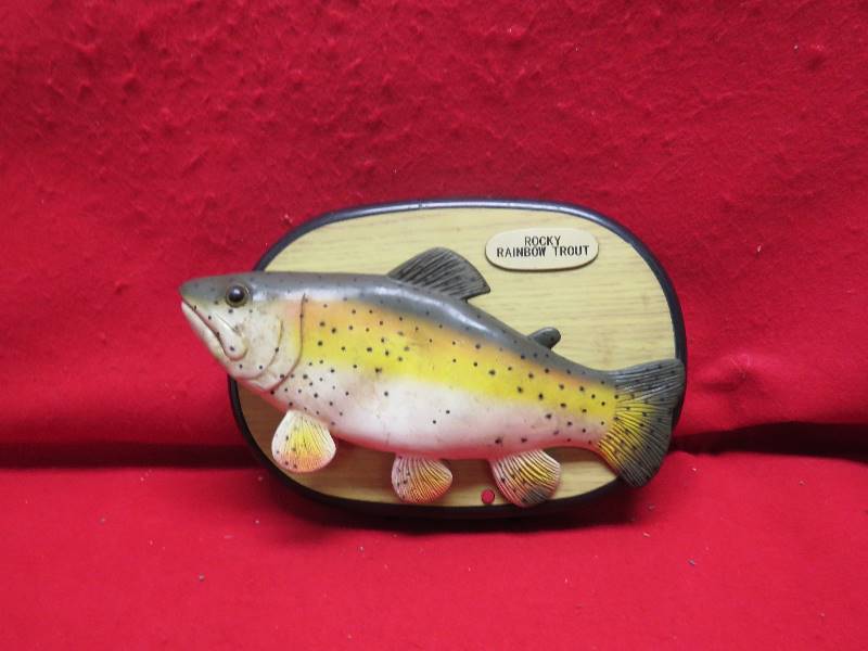 Rocky Rainbow Trout