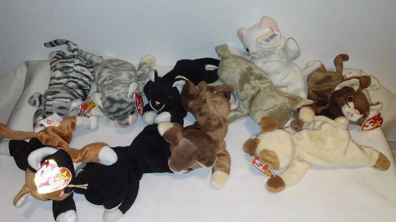 lot 50 image: Feline Beanie Babies (11) most with Heart Tags, All with Tush Tags, Display Only, Never Played with.
