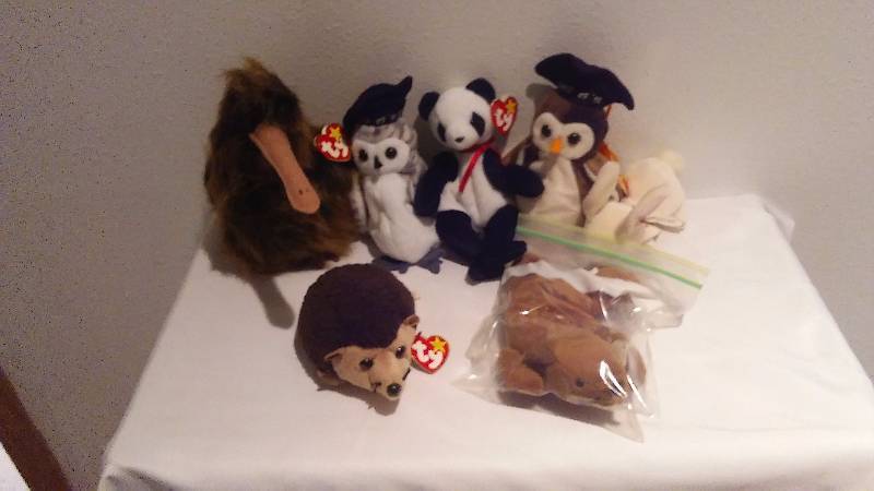 lot 232 image: Beanie Baby Collection (7) Displayed only, never played with, Heart Tags, All with Tush Tags