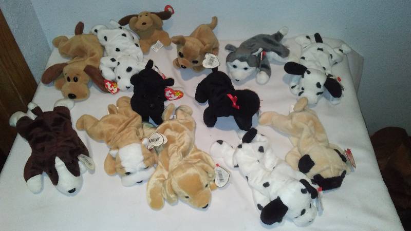 lot 247 image: Canine Beanie Baby Collection (13) Displayed only, never played with, Heart Tags, All with Tush Tags