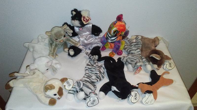 lot 248 image: Feline Beanie Baby Collection (10) Displayed only, never played with, Heart Tags, All with Tush Tags