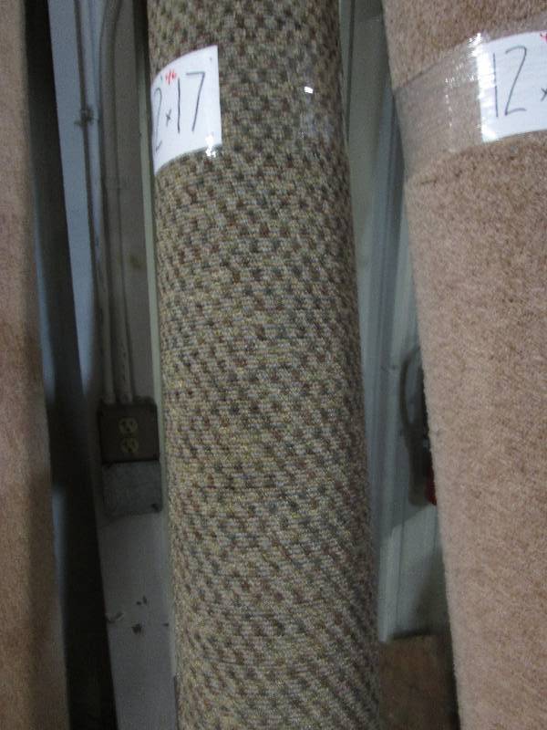 Brand New Carpet