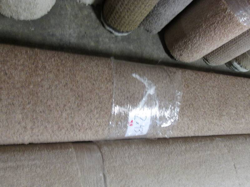 Brand New Carpet