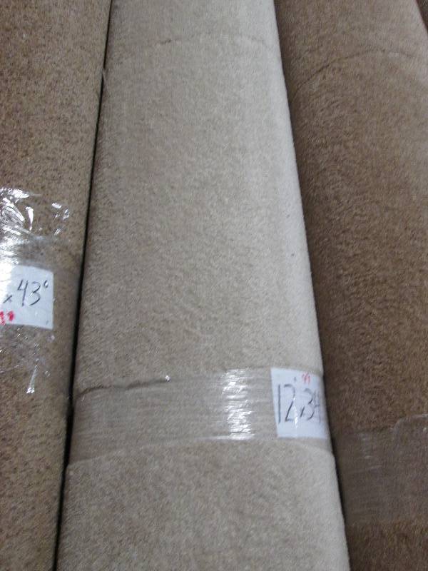 Brand New Carpet