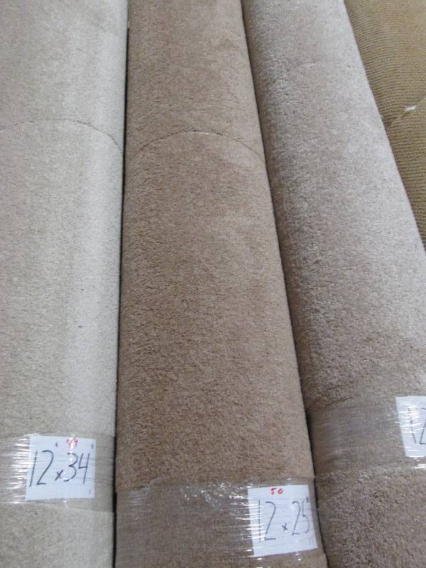 Brand New Carpet