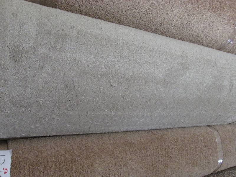 Brand New Carpet