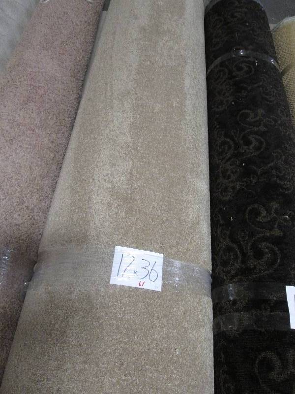 Brand New Carpet