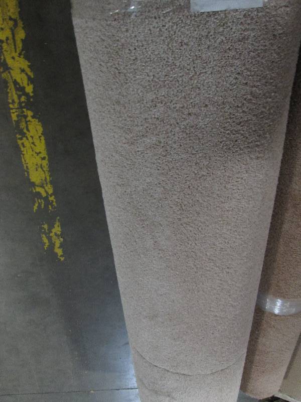 Brand New Carpet
