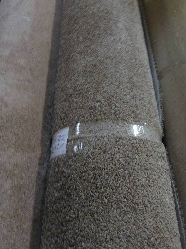 Brand New Carpet