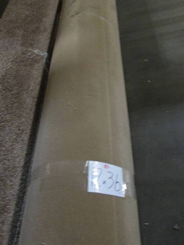 Brand New Carpet